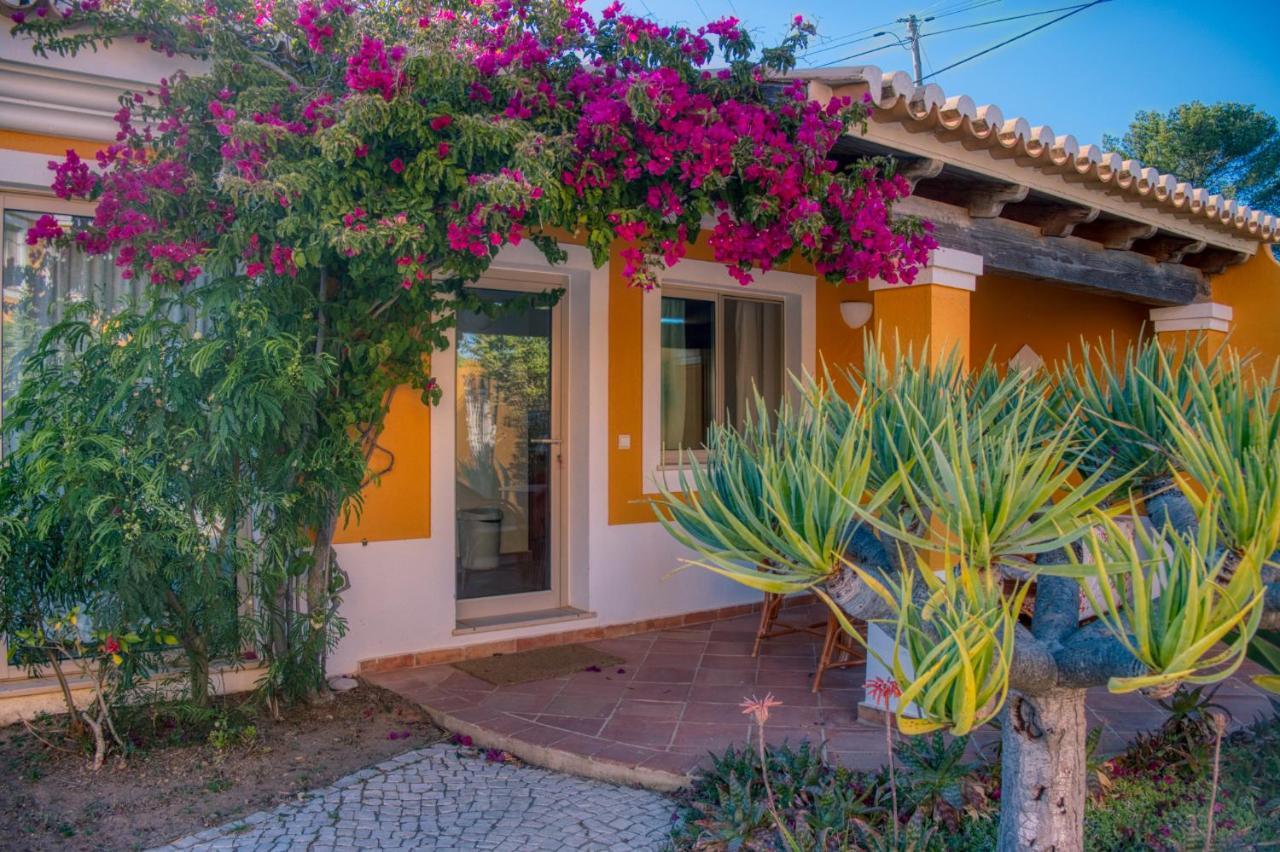 Moonshine Guest House With Private Studios And Private Cottage Lagos Ngoại thất bức ảnh