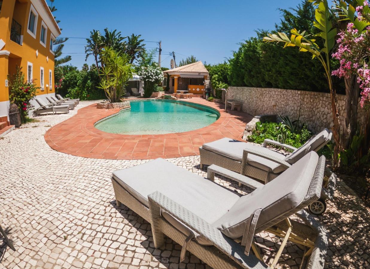 Moonshine Guest House With Private Studios And Private Cottage Lagos Ngoại thất bức ảnh